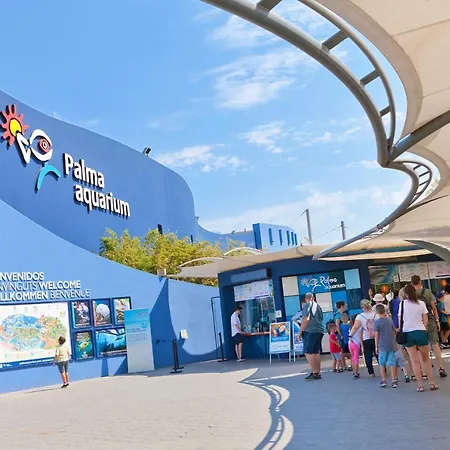 Villa Els Pins El Arenal (Mallorca)